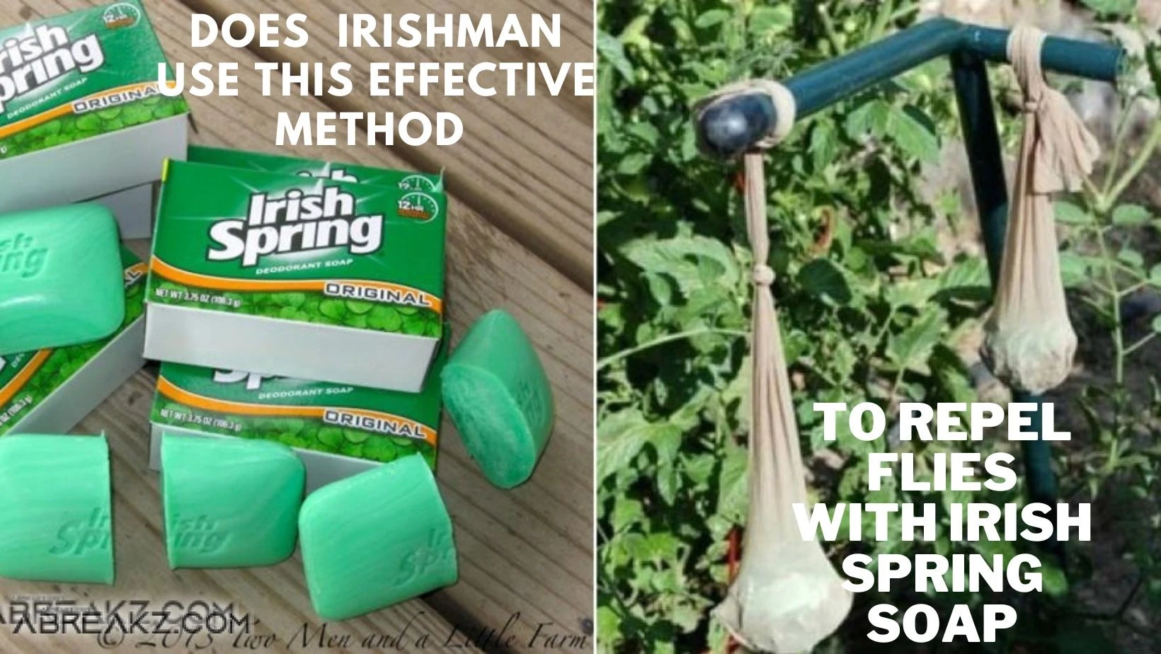 Does Irishman Use That Effective Methods To Repel Flies With Irish Spring Soap?